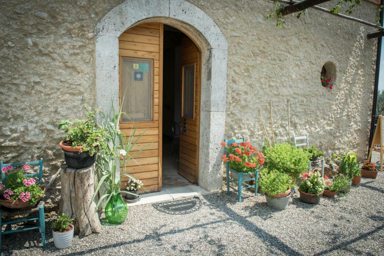 B&B Rifugio Tra Gli Ulivi Кампанья Экстерьер фото
